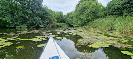 Kanotur Stallerup Sø