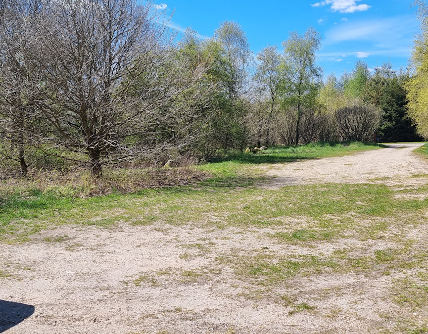 Skærsø parkering nord