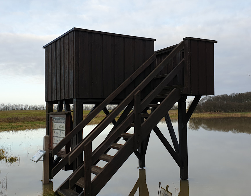 Fugletårn Søgaard Sø