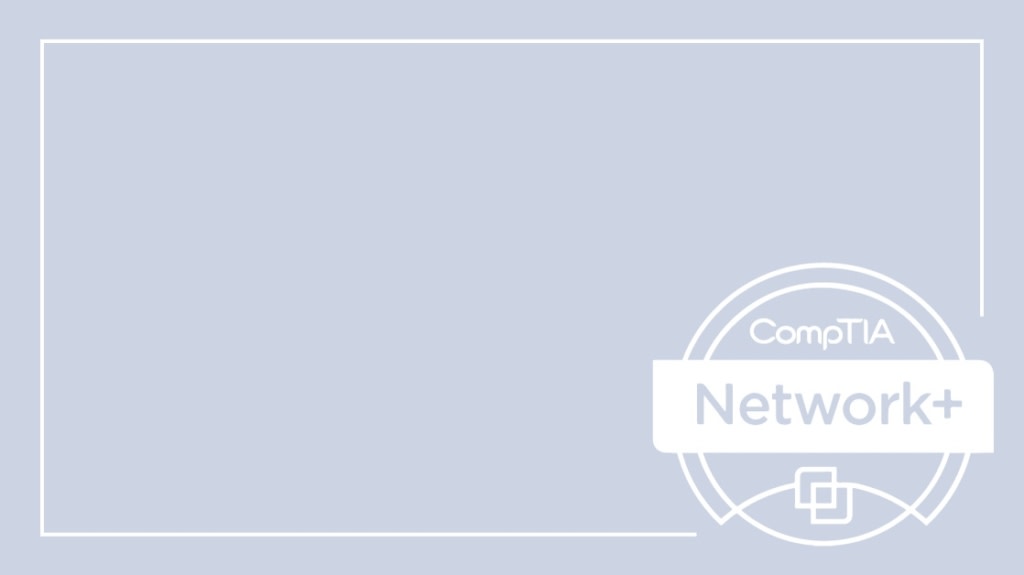 HOW MANY QUESTIONS ON NETWORK EXAM visual data 6