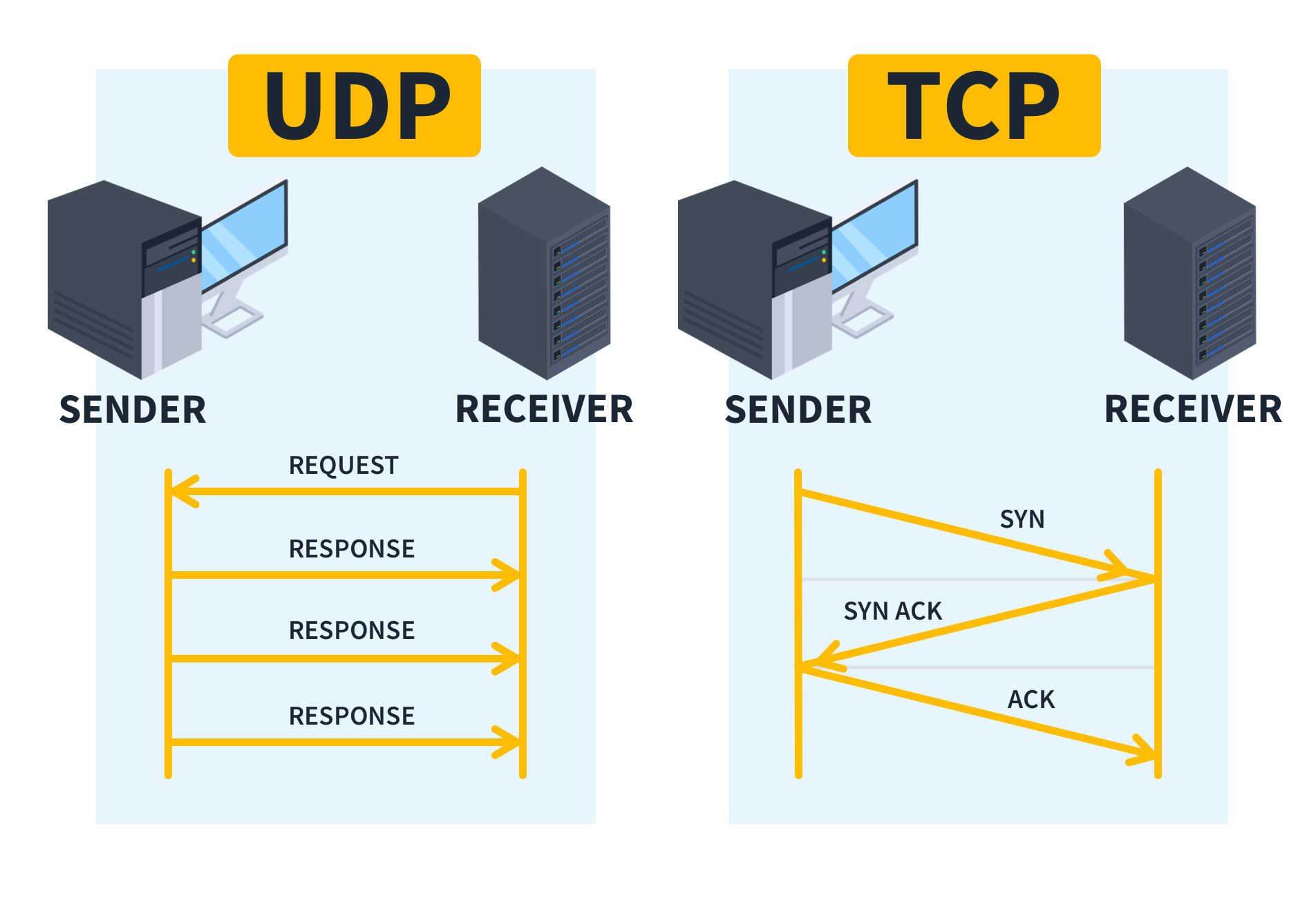 What are Transport Layer Protocols?