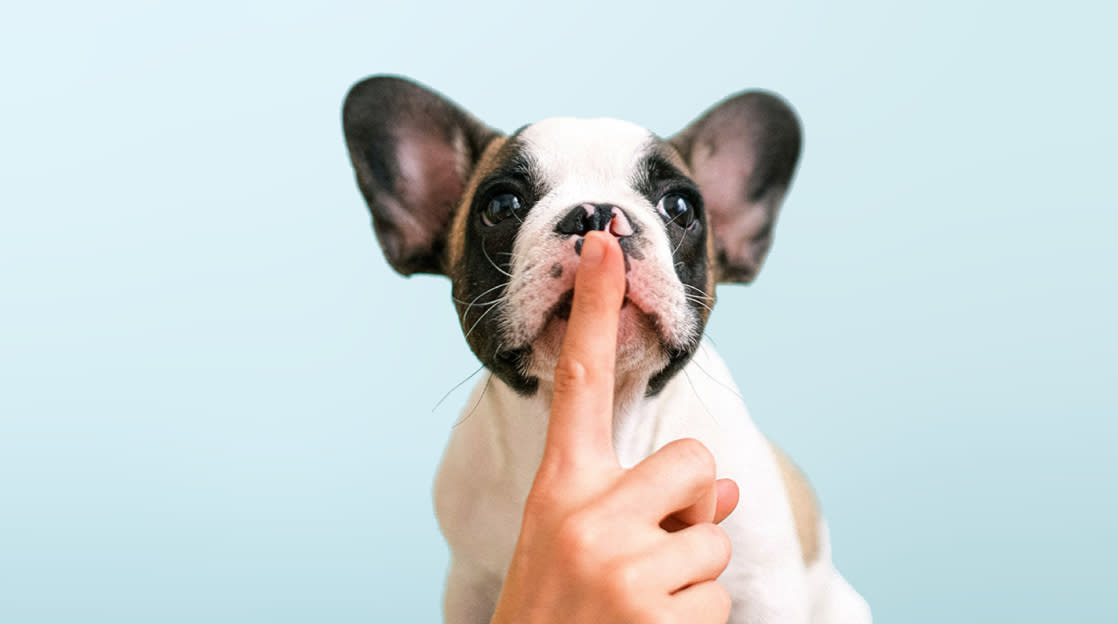 3 Myths About Wireless Careers picture: A