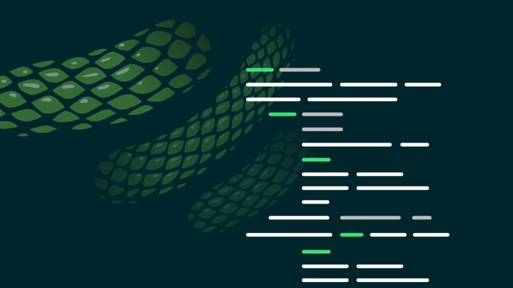 Python is the First Language You Should Learn