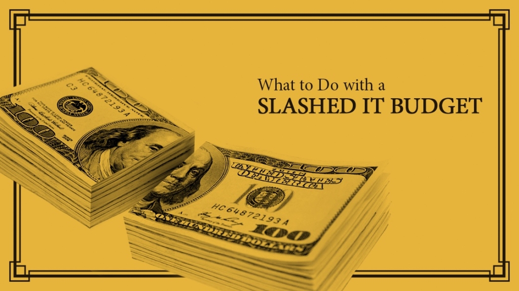 What to Do with a Slashed IT Budget picture: A