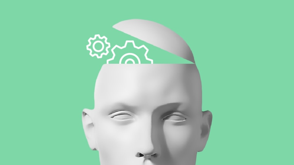 A Must-See Look at the Programmer's Mindset