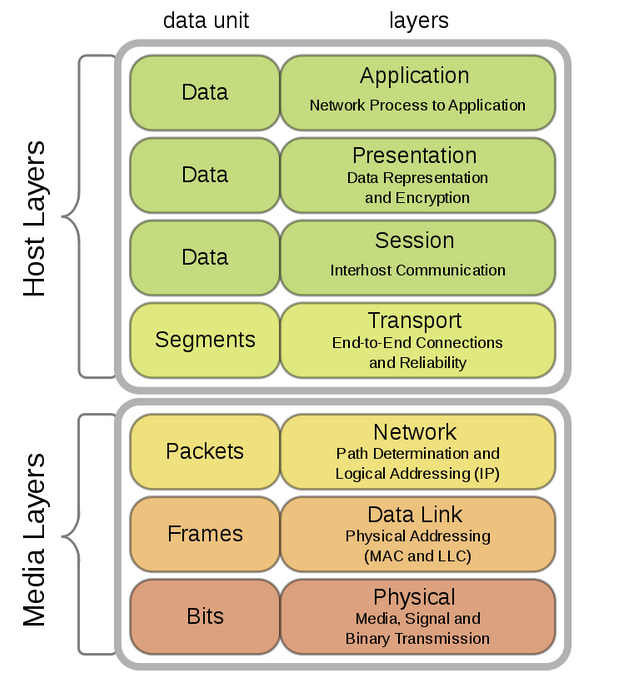 data link layer process