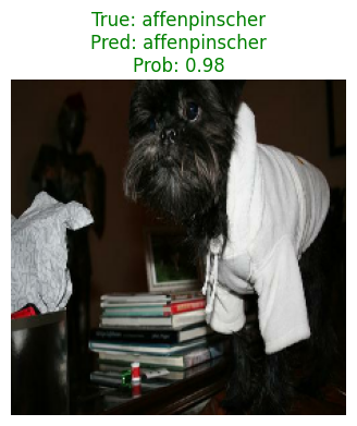 affenpinscher