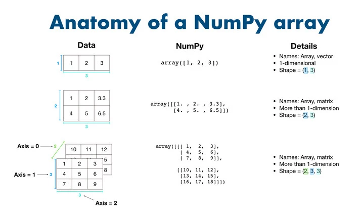 anatomy of a NumPy array