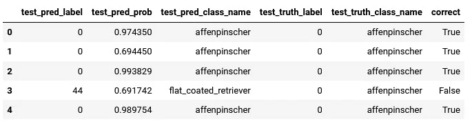 dog accuracy dataframe