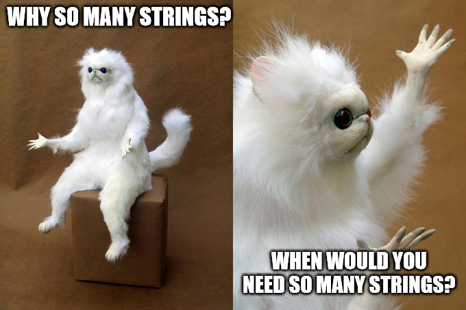 Why does rust have so many string types