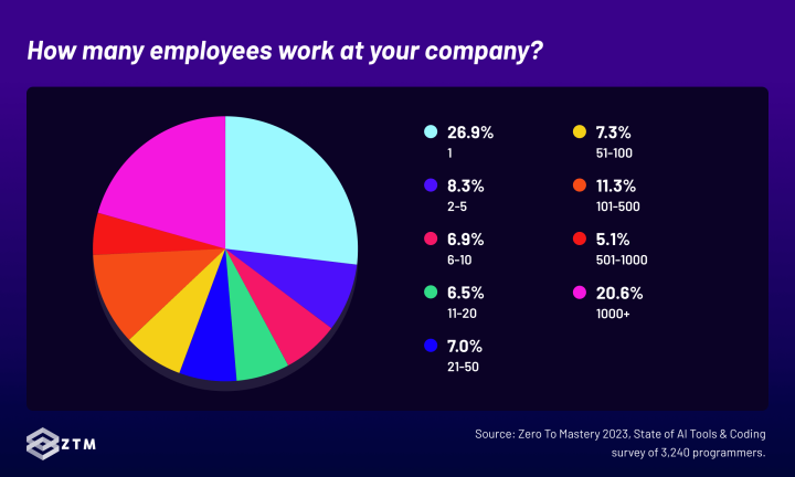 AI tools and programming survey - Distribution of survey participants based on company size