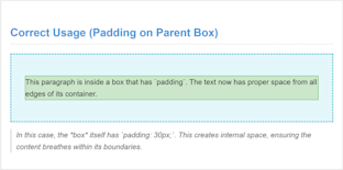 Beginner’s Guide to Margin vs Padding in Web Design | Zero To Mastery