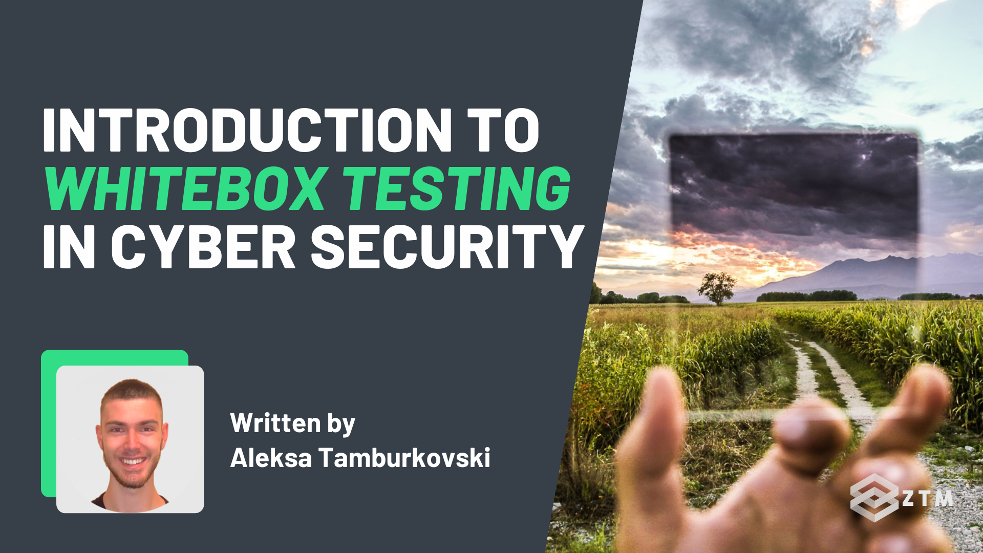 Introduction to Whitebox Testing in Cyber Security preview