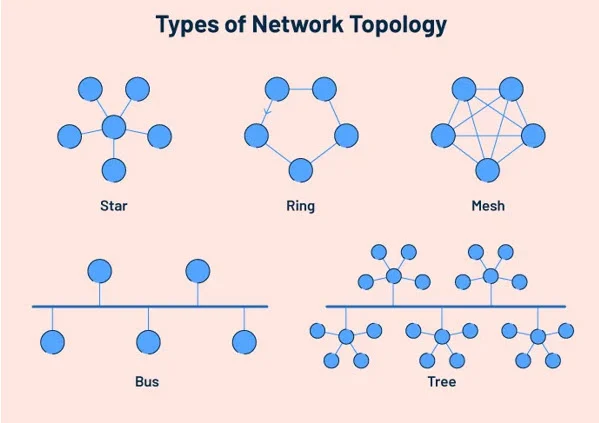 types of network topology