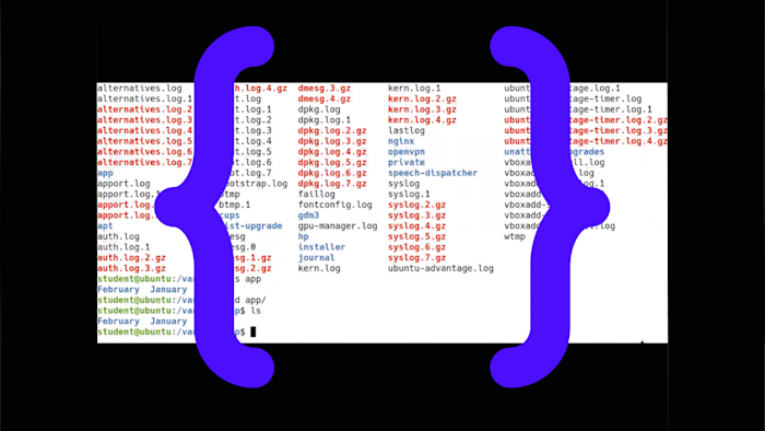 Bash Scripting: Learn Shell Scripting | Zero To Mastery