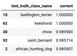 accuracy of dog dataframe