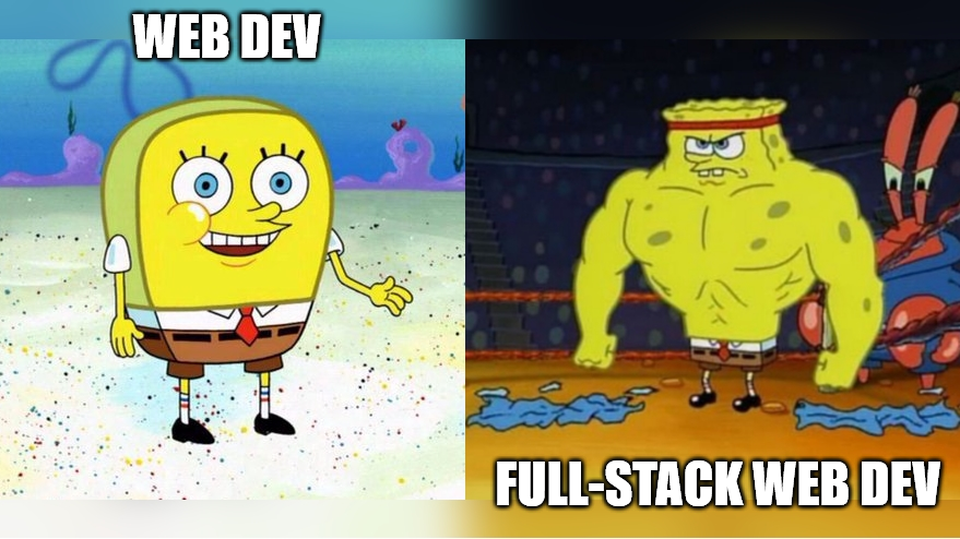 why you should become a fullstack web dev