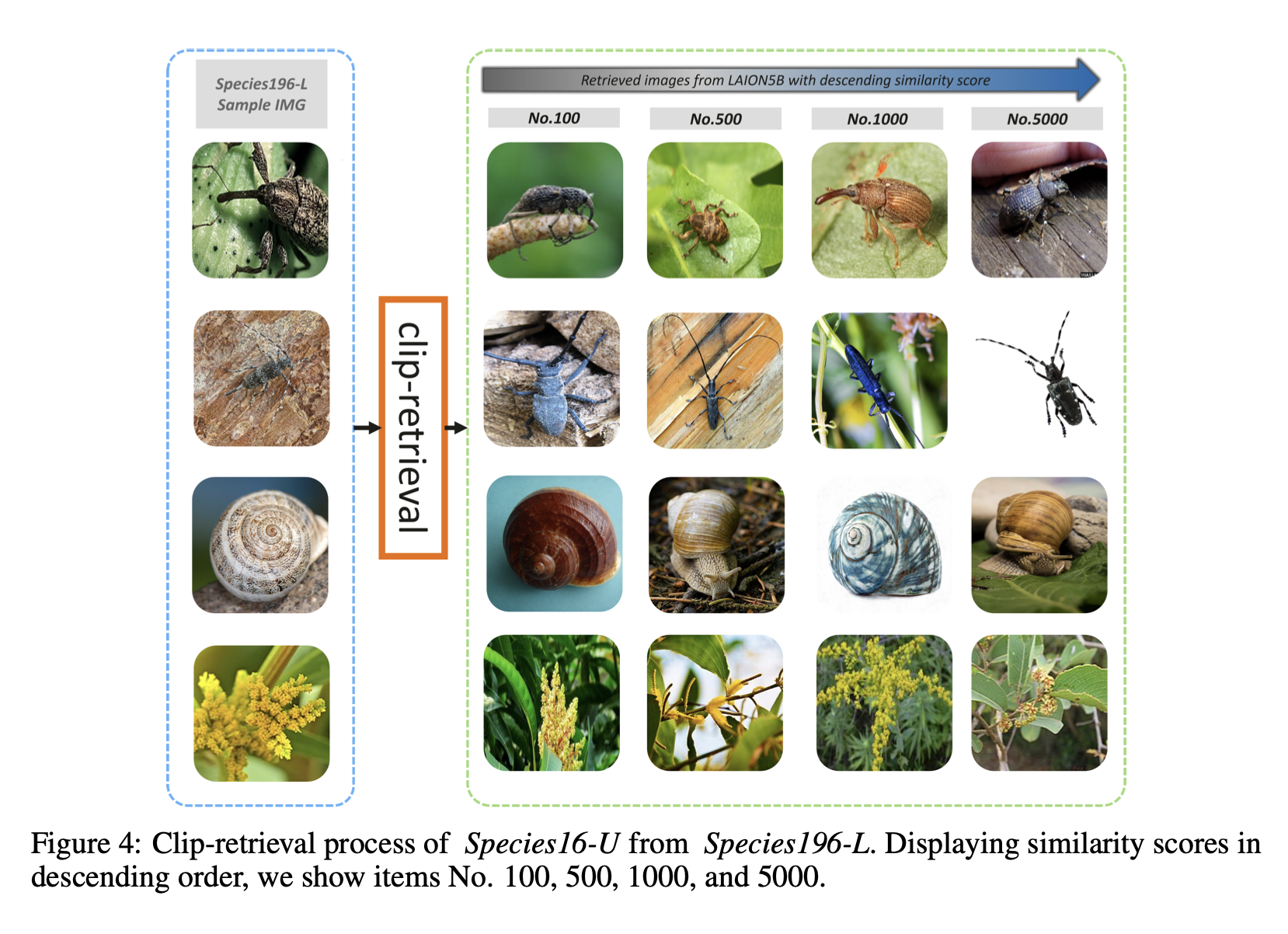 species196-dataset-construction