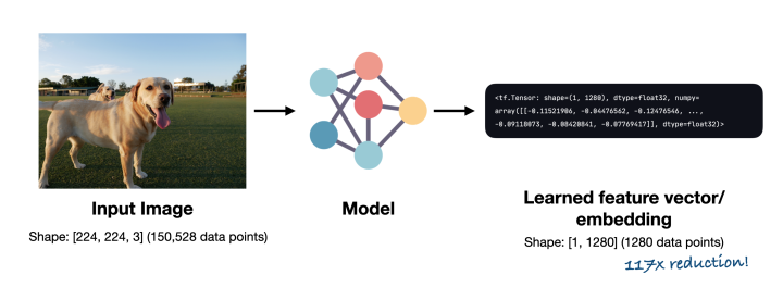 unstructured-data-feature-vector-extraction