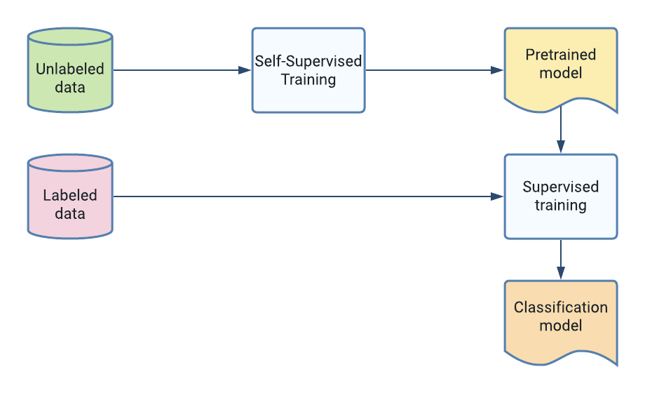 Basic self-supervised learning training setup