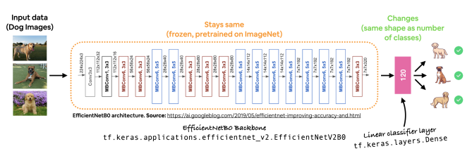 unstructured-data-our-dog-vision-model