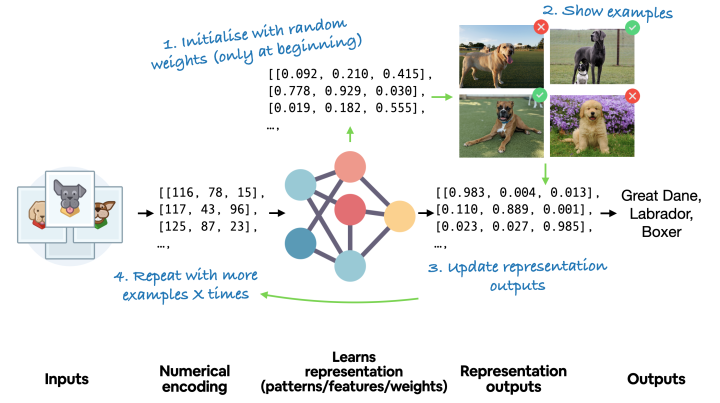 unstructured-data-how-a-neural-network-learns-on-dog-images-classification