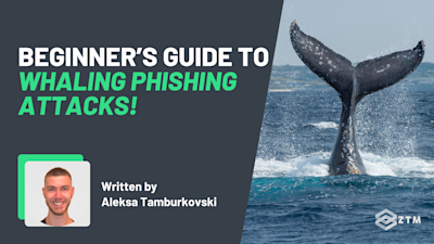 Beginner’s Guide To Whaling Phishing Attacks preview