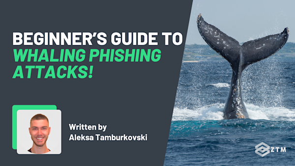 Beginner’s Guide To Whaling Phishing Attacks preview
