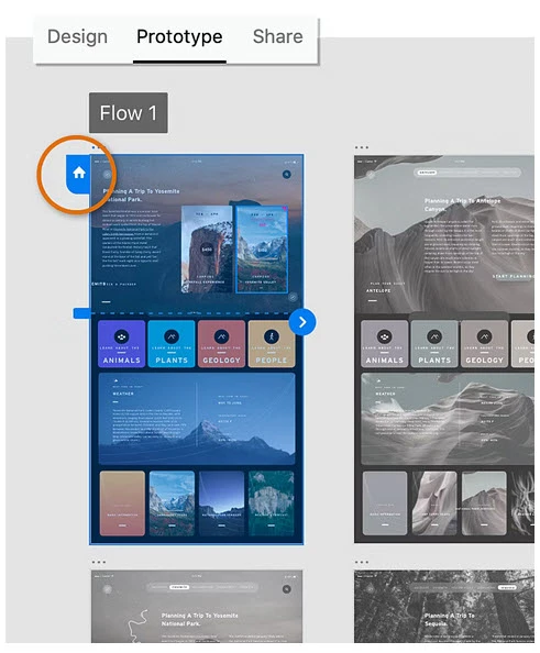 how adobe xd handles prototyping