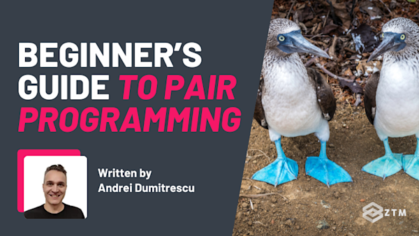 Beginner’s Guide to Pair Programming preview