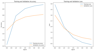 loss curves on our data