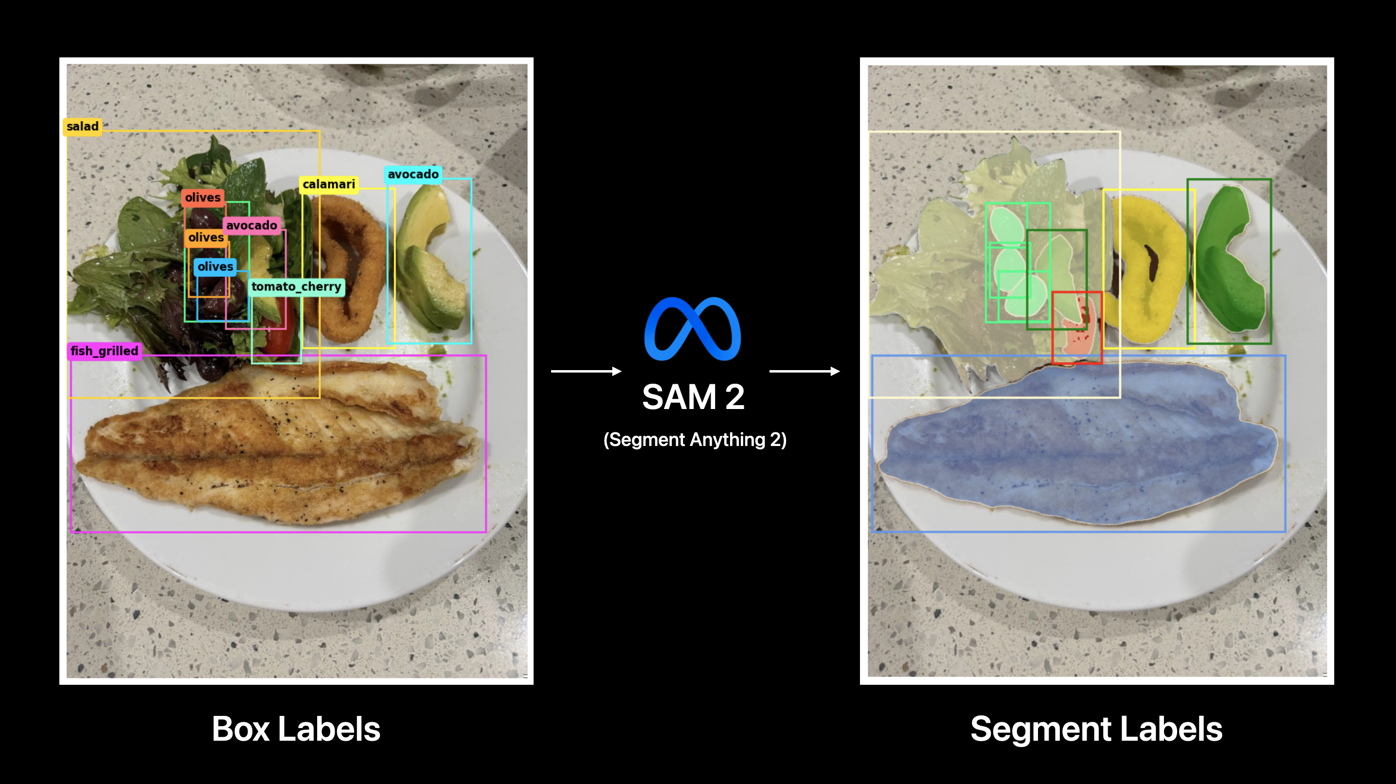 sam2-workflow-example