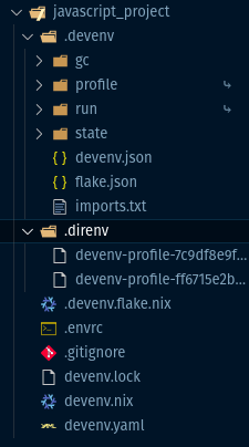 devenv project structure