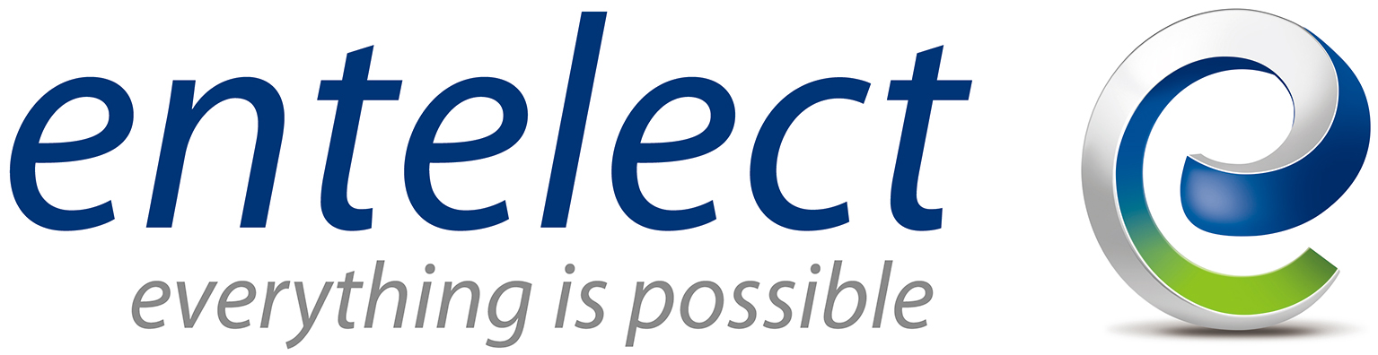 [Company Logo] - Entelect
