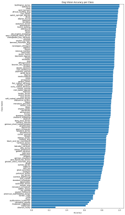 dog vision accuracy per class
