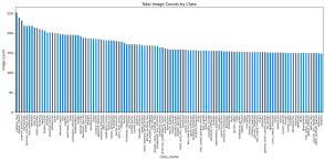 total image counts by class