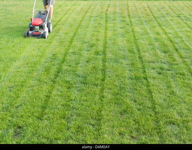 mowing the lawn