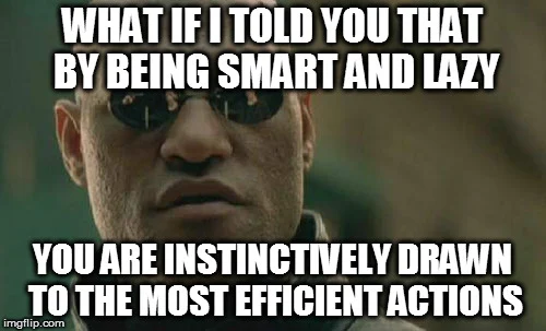 Smart lazy programmer