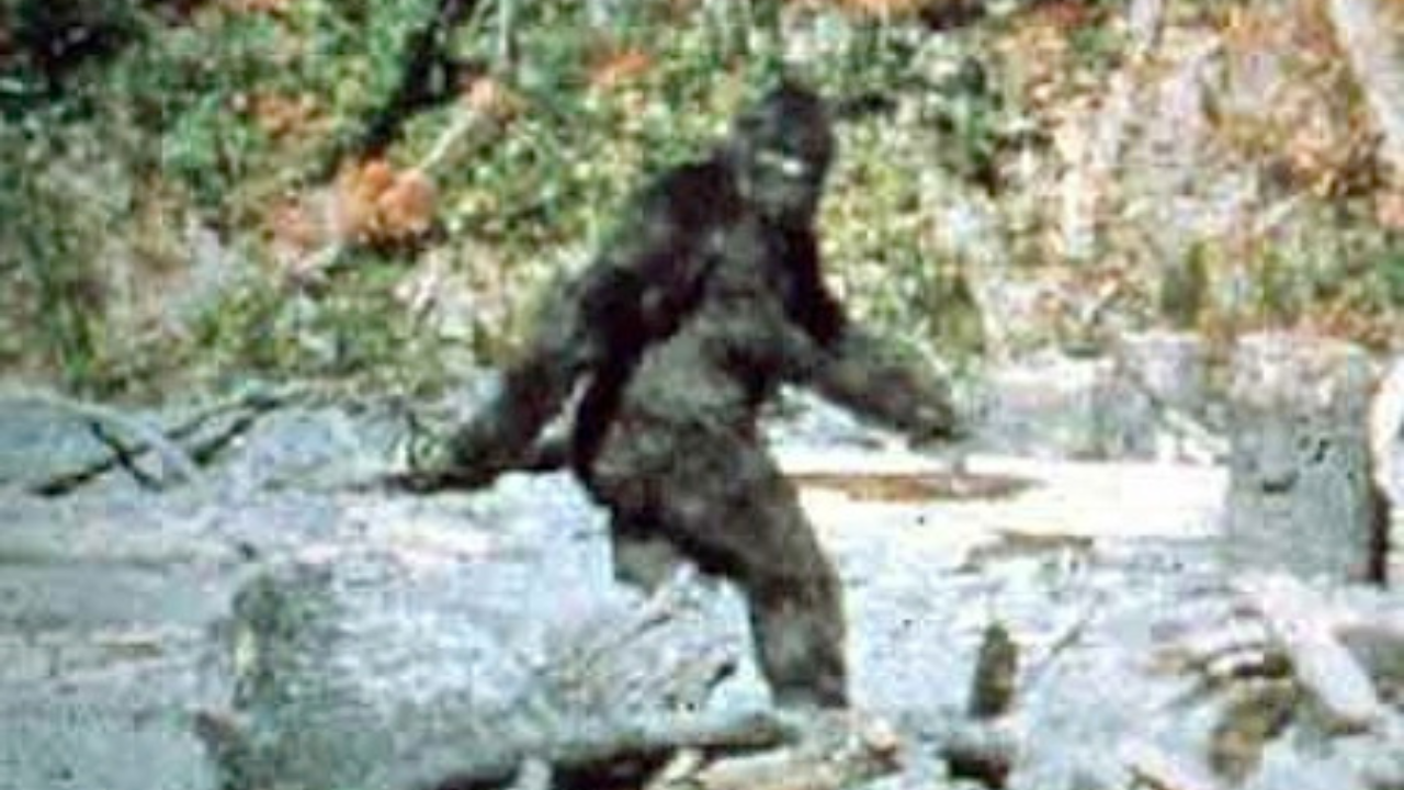 Bigfoot Sightings Dashboard Visualization