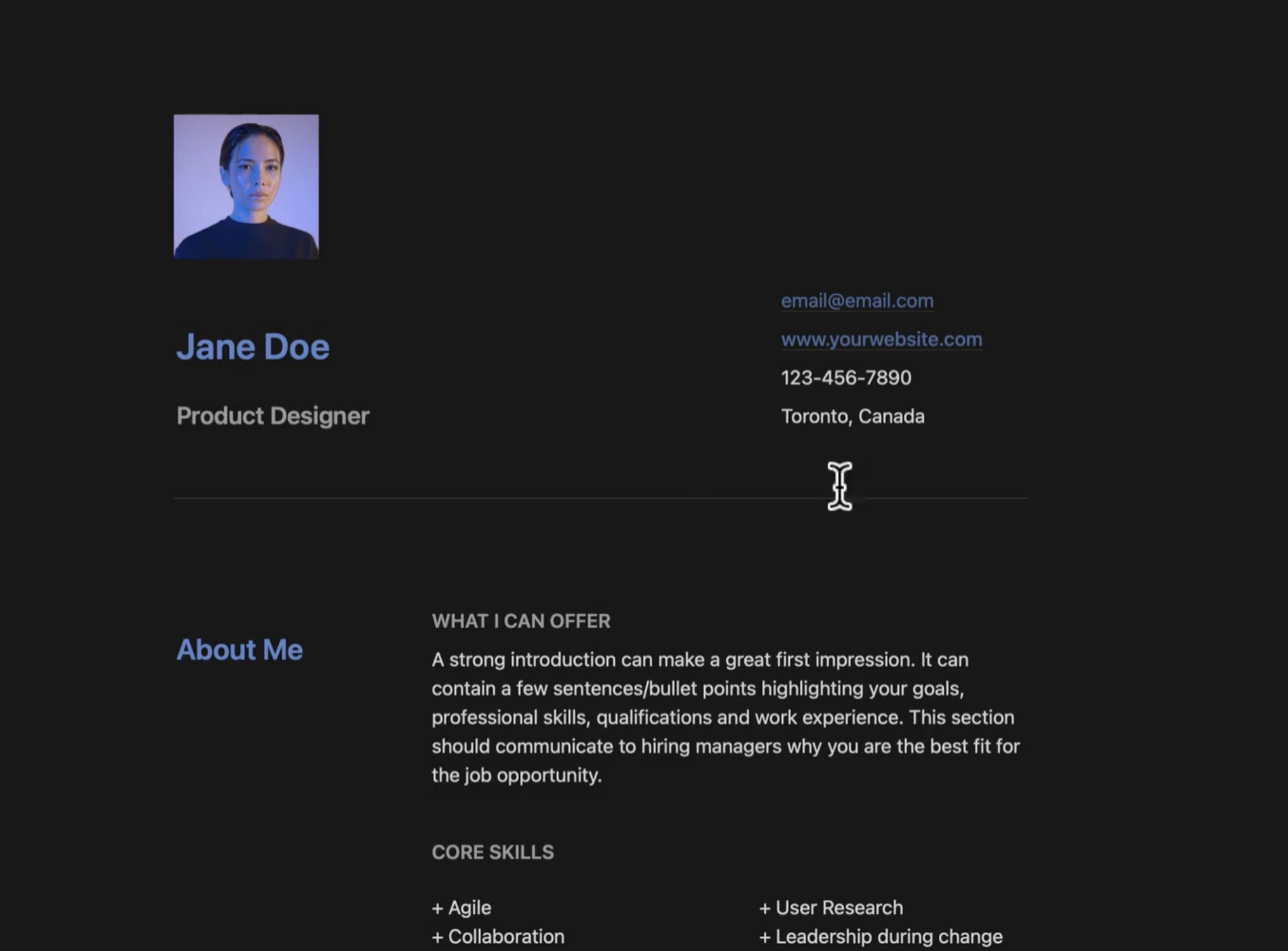 Your Portfolio Website