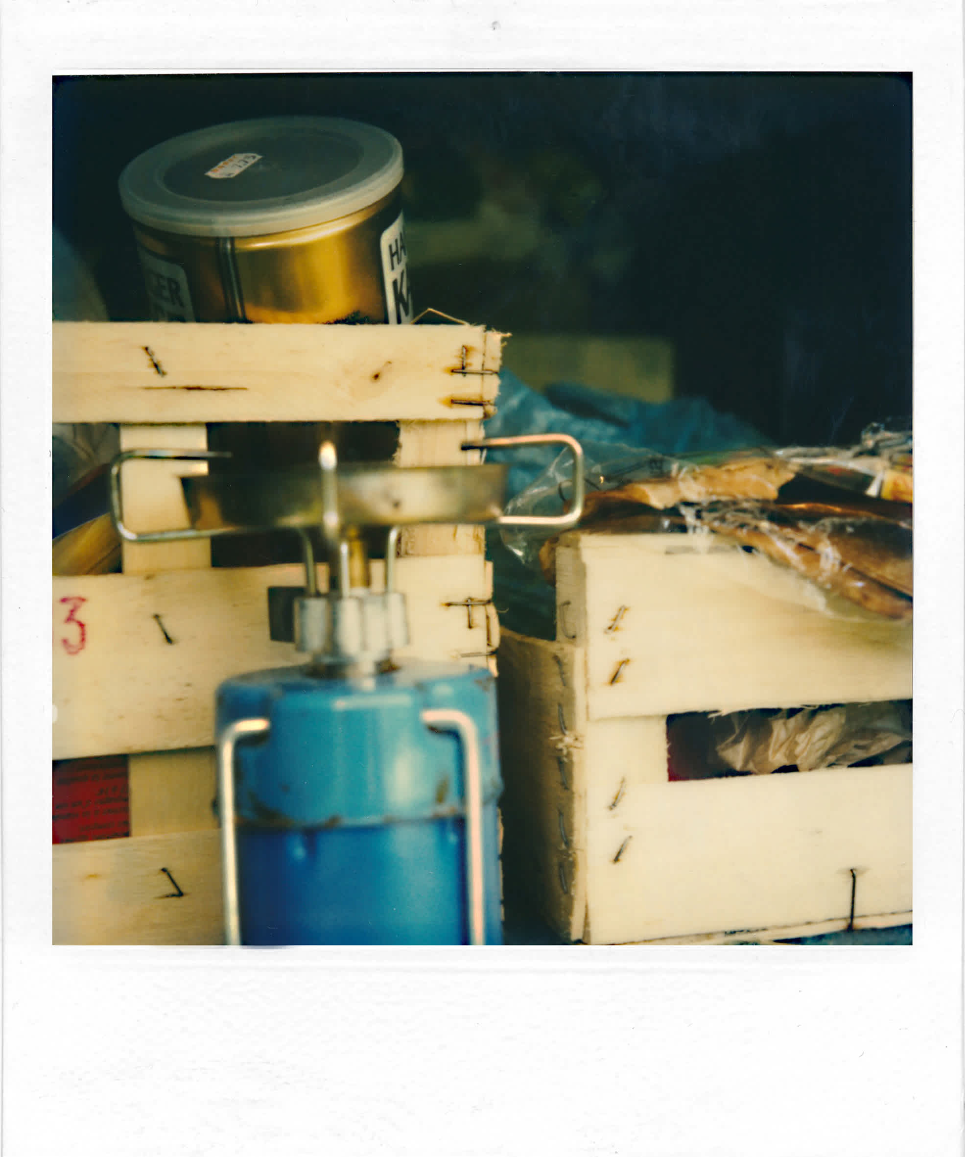 Lichtbildnerei      Polaroid kontemporär     I 