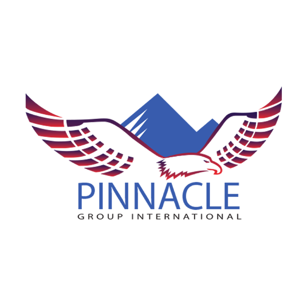 피너클 그룹(Pinnacle Group)