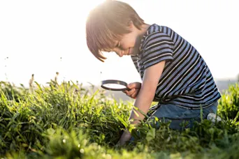 Vivo - webinar afbeelding - VO