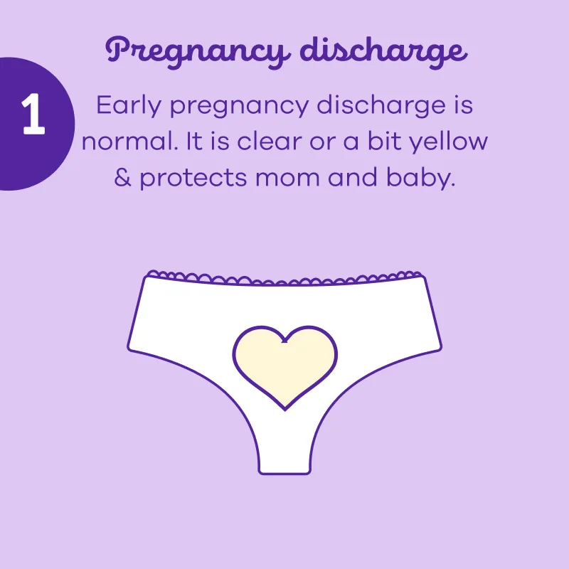 Illustration of an underwear with a heart with the message early pregancy discharge is normal