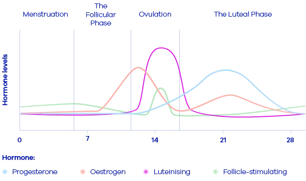 Hormone levels chart