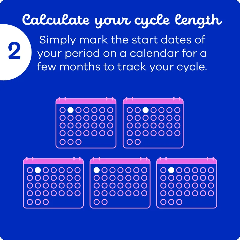 Image showing a calendar explaining how to calculate cycle length