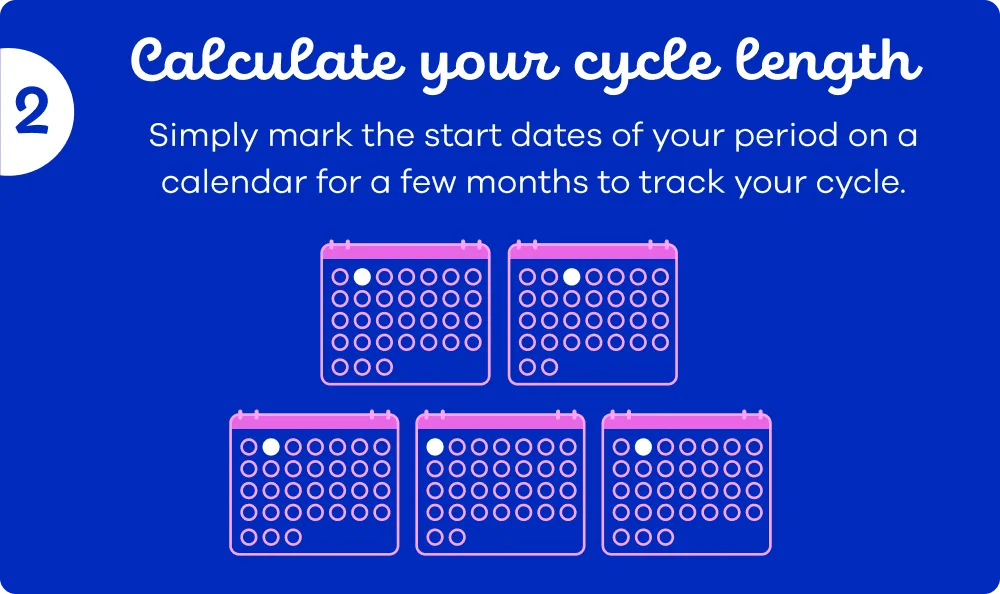 Image showing a calendar explaining how to calculate cycle length