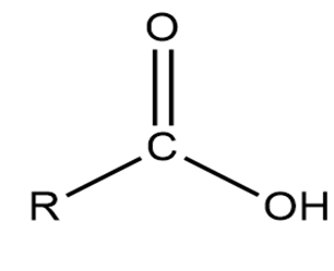 Carboxylic Acid structure