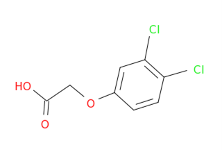 pyrrolo [3,4-c] pyridine-1,3(2H)-dione