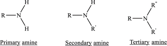 Amines classification